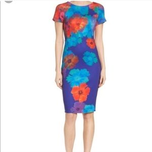 NWT Felicity & Coco Floral Scuba Dress size small
